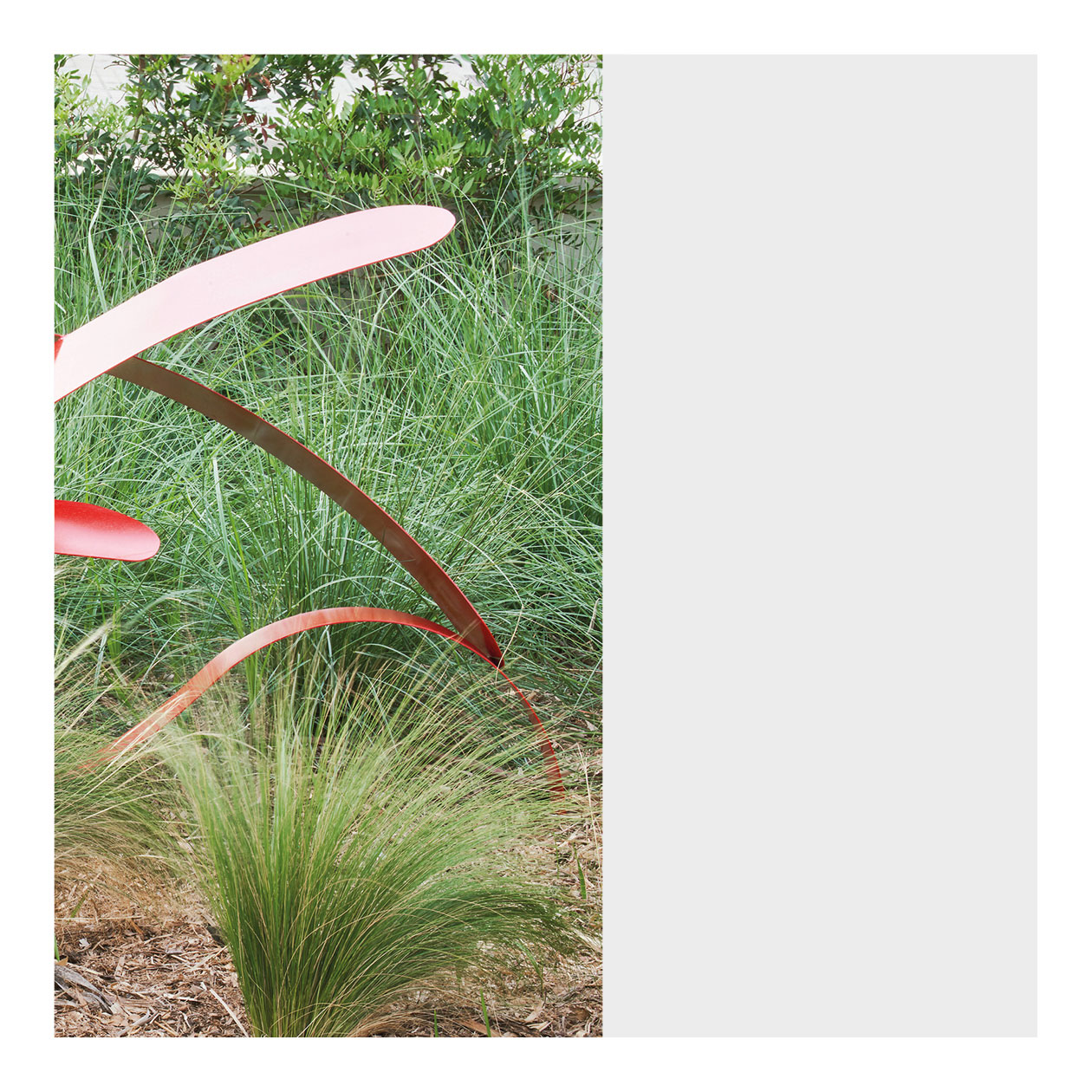 Bitch is breastfeeding puppies - xxx femefun